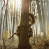 Where the Wild Things Are